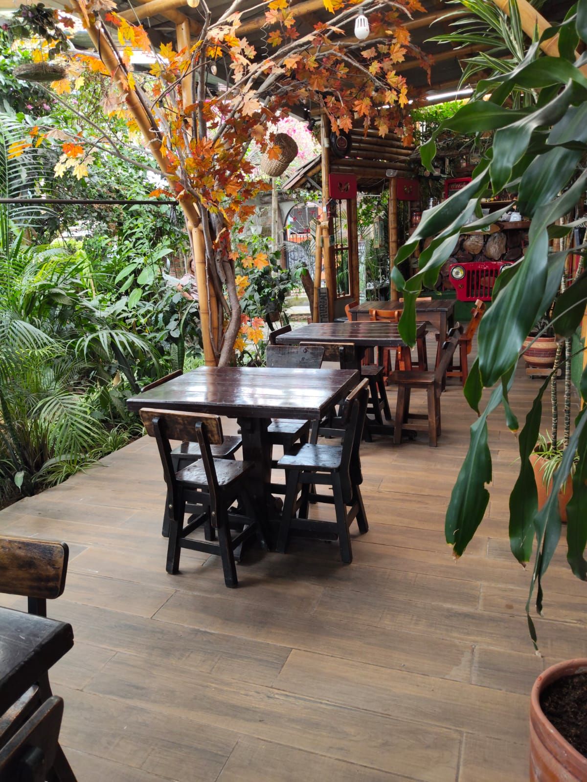 An outdoor dining area with wooden tables and chairs, surrounded by lush greenery and autumn foliage.