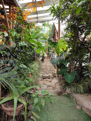 A garden pathway with various plants and a bicycle in the background.