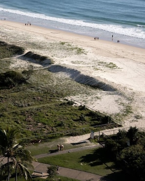 A beach with a pathway leading to a grassy area, a railing, and the ocean in the background. - Ocean Front Escape on Palm Beach (Gold Coast)