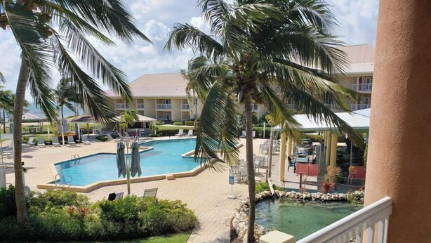 Een zwembadgedeelte van een resort met palmbomen, ligbedden en een fontein.