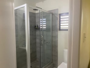 Cabina de ducha con paredes de vidrio, un cabezal de ducha, un inodoro y una ventana con persianas.