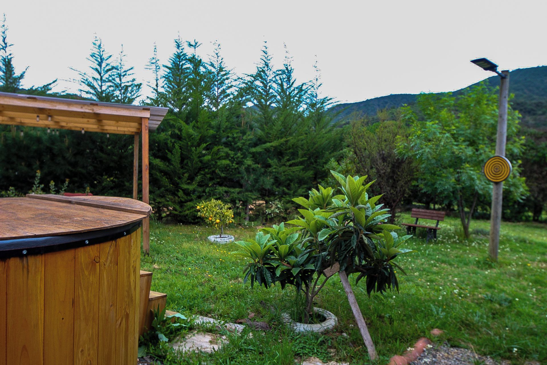 A wooden deck with a circular seating area, surrounded by lush greenery and a small tree.
