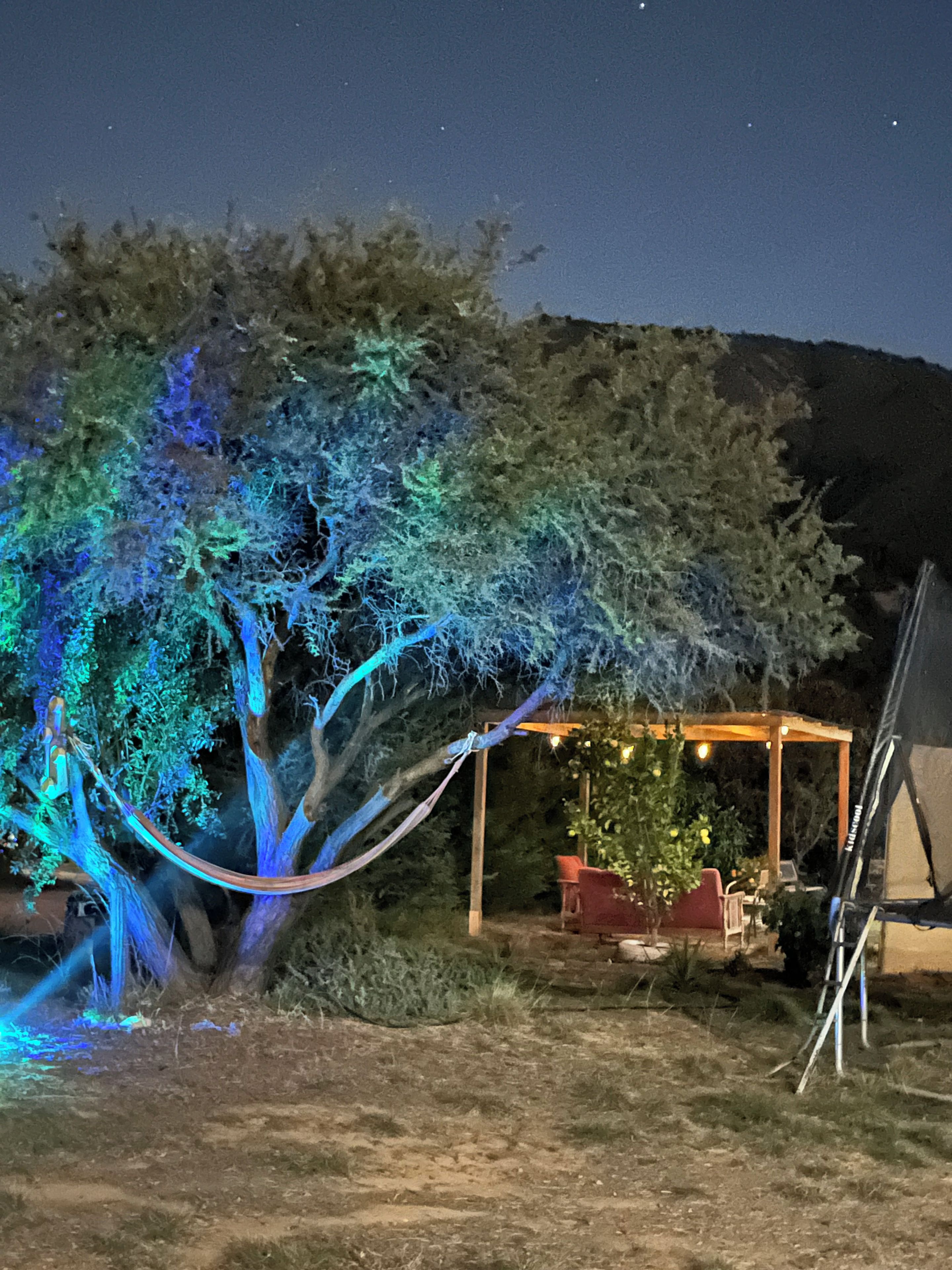 Un arbre illuminé de lumières bleues, un espace de repos abrité et une tente.
