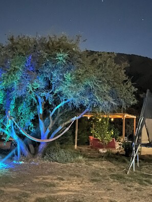 Un arbre amb il·luminació blava, una zona coberta amb seients i una tenda.