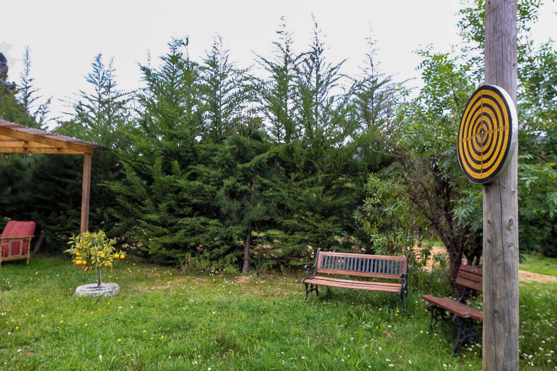 A wooden bench, a target post, and a gazebo in a grassy area with trees.