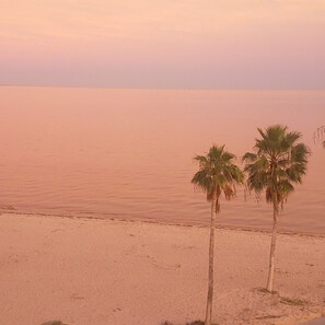 A beach with two palm trees and a calm sea. - END Condo directly on the Beach with unobstructed views of the ocean (Corpus Christi)