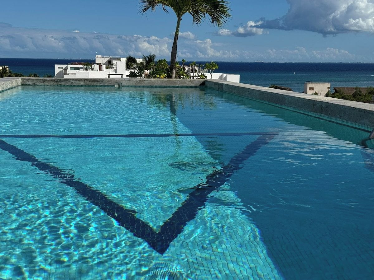 A clear blue pool with a palm tree and a view of the ocean.