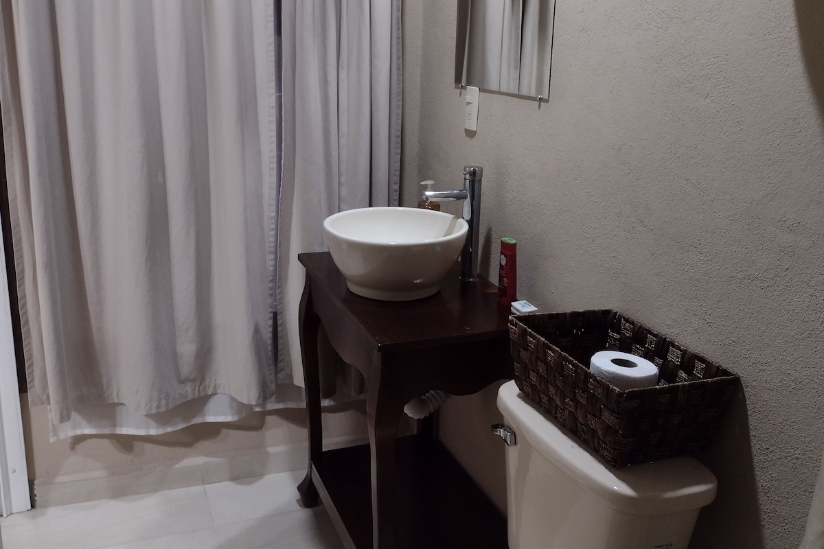 Habitación estándar con 1 cama matrimonial o 2 individuales, vista al patio | Baño | Regadera, toallas, jabón, shampoo 