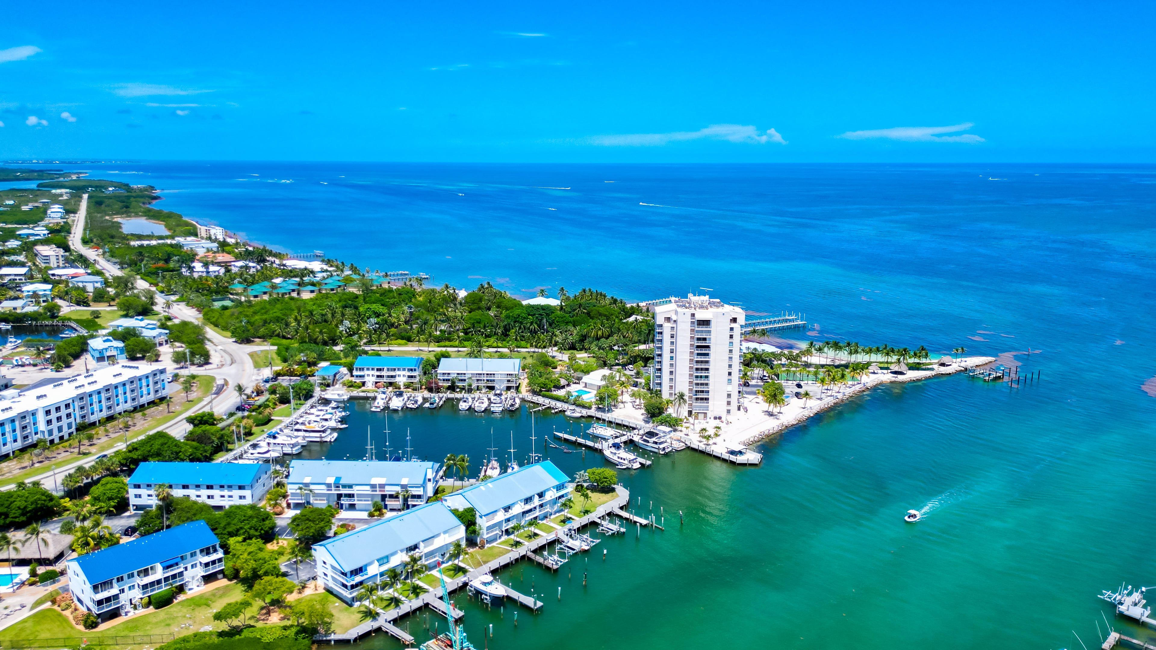 A coastal marina with multiple docks, a tall hotel, and surrounding greenery.