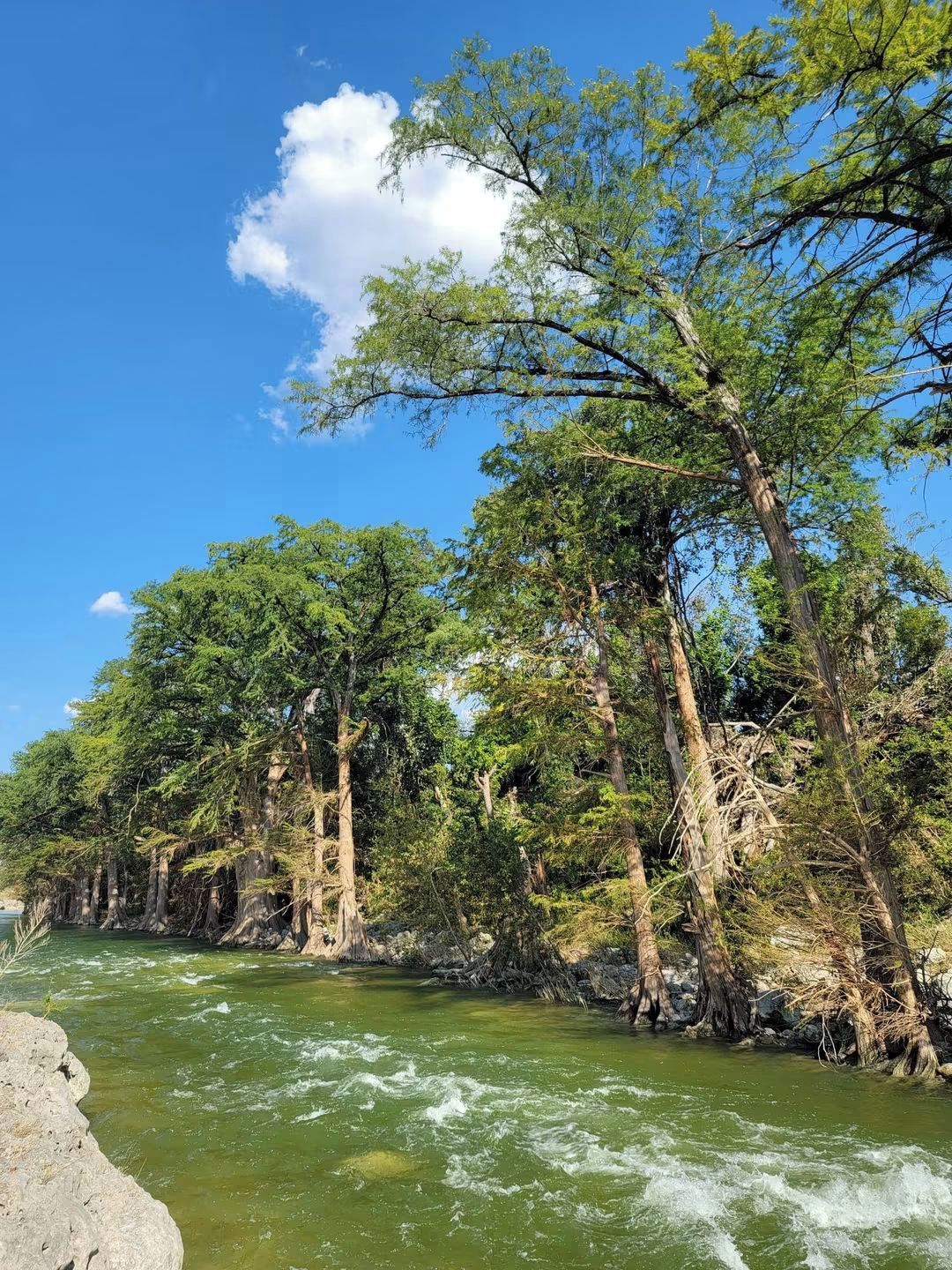 A river with trees on the banks, clear sky, and a calm water surface.