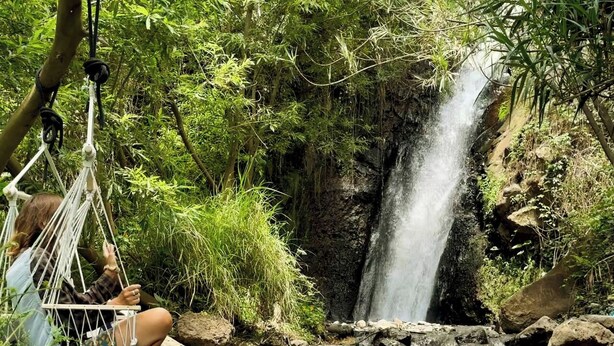 Unclassified image, 1 of 34, button - Wild Banana Farm Bungalow, Waterfall, Grotto Pool, Cave Pool, & Sauna (Ponta do Sol)