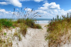 A sandy beach path leading to the ocean, surrounded by grass and vegetation. - 3BR, 2BA home in Fernandina Beach's North End, on Amelia Island (Fernandina Beach)
