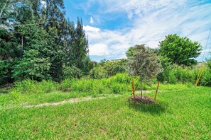 A grassy area with trees and a clear sky. - Beachwalk East Side-Near Nokomis Beach (Nokomis)