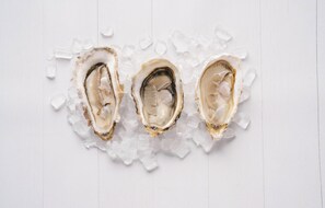 Three oysters on a bed of ice cubes on a white surface.