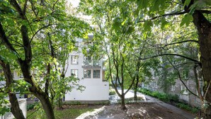 Luokittelematon kuva, 2 kautta 21, painike