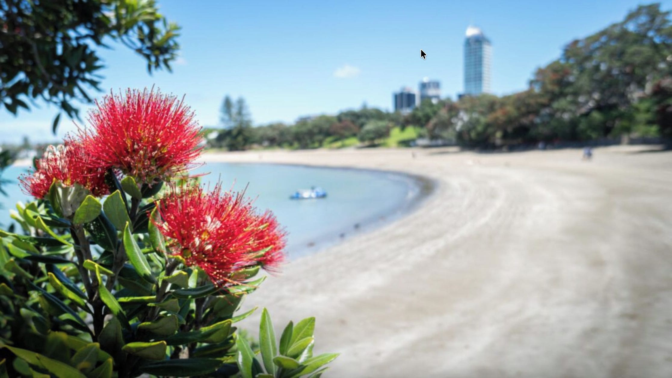 Una playa con vistas despejadas al océano y un horizonte urbano distante.