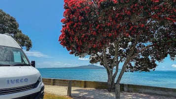Un vehículo IVECO blanco estacionado junto a un árbol con flores rojas, con vista a una masa de agua y una tierra distante.