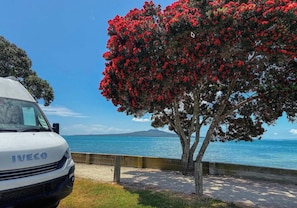 A white IVECO vehicle parked beside a tree with red flowers, overlooking a body of water with a distant landmass. - Takapuna Beach Holiday Park (Auckland)