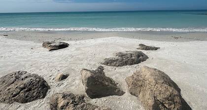 Private 1BR - King Bed & Madeira Beach Days