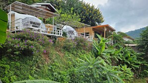 Ảnh chưa phân loại, 3 trong số 136 ảnh, nút