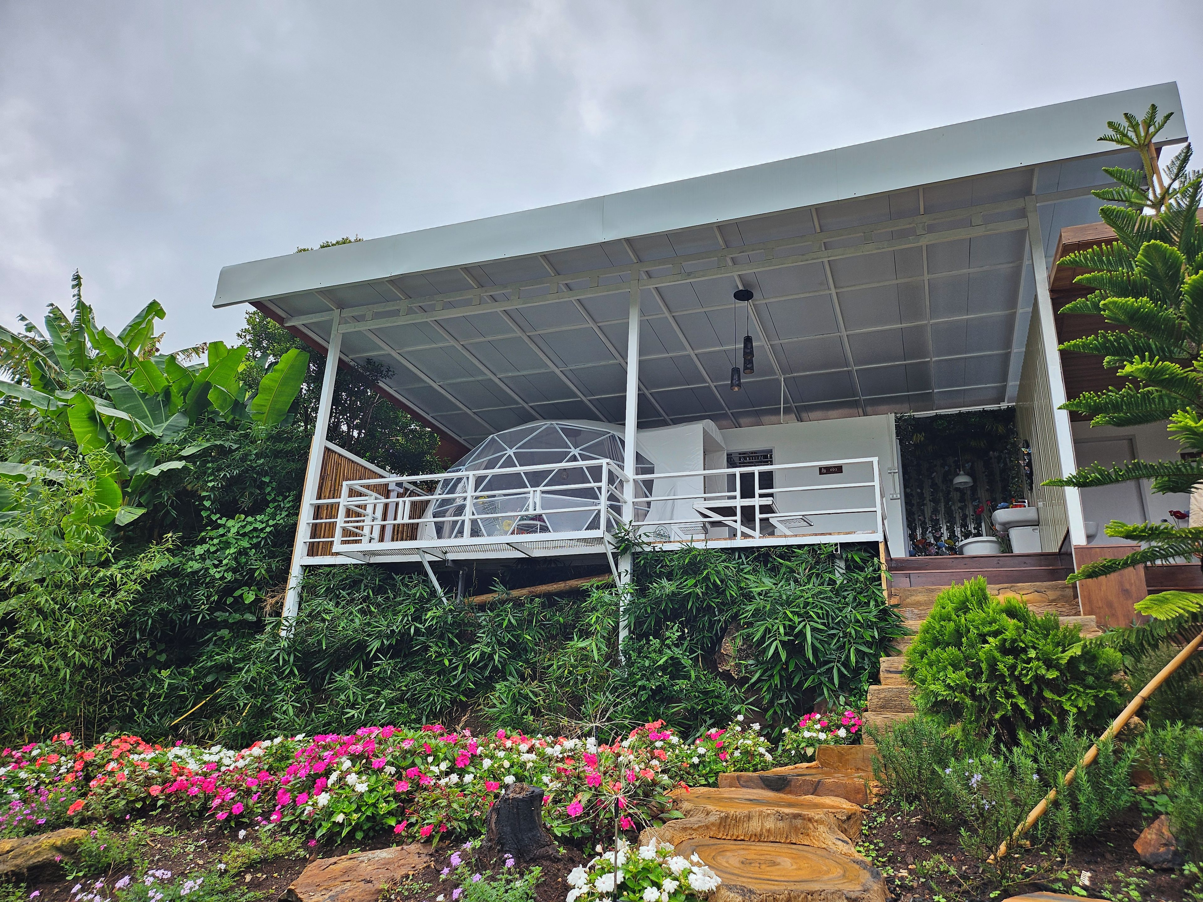 A modern house with a covered porch, surrounded by lush greenery and a variety of flowering plants.