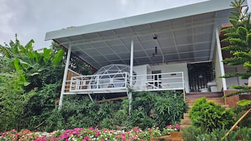 A modern house with a covered porch, surrounded by lush greenery and a variety of flowering plants.