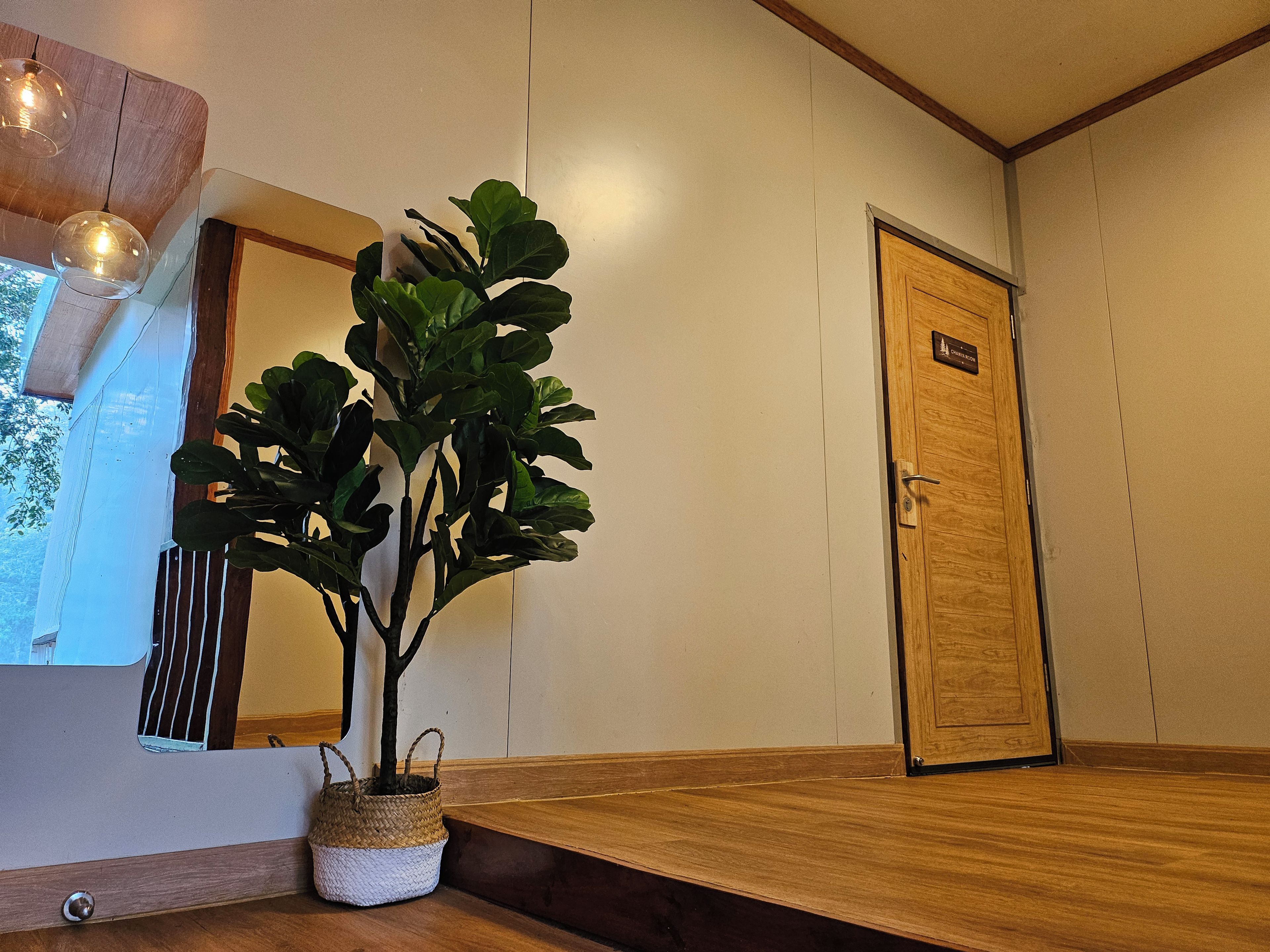 Una habitación con una puerta de madera, una planta en maceta, un banco de madera y una lámpara colgante.