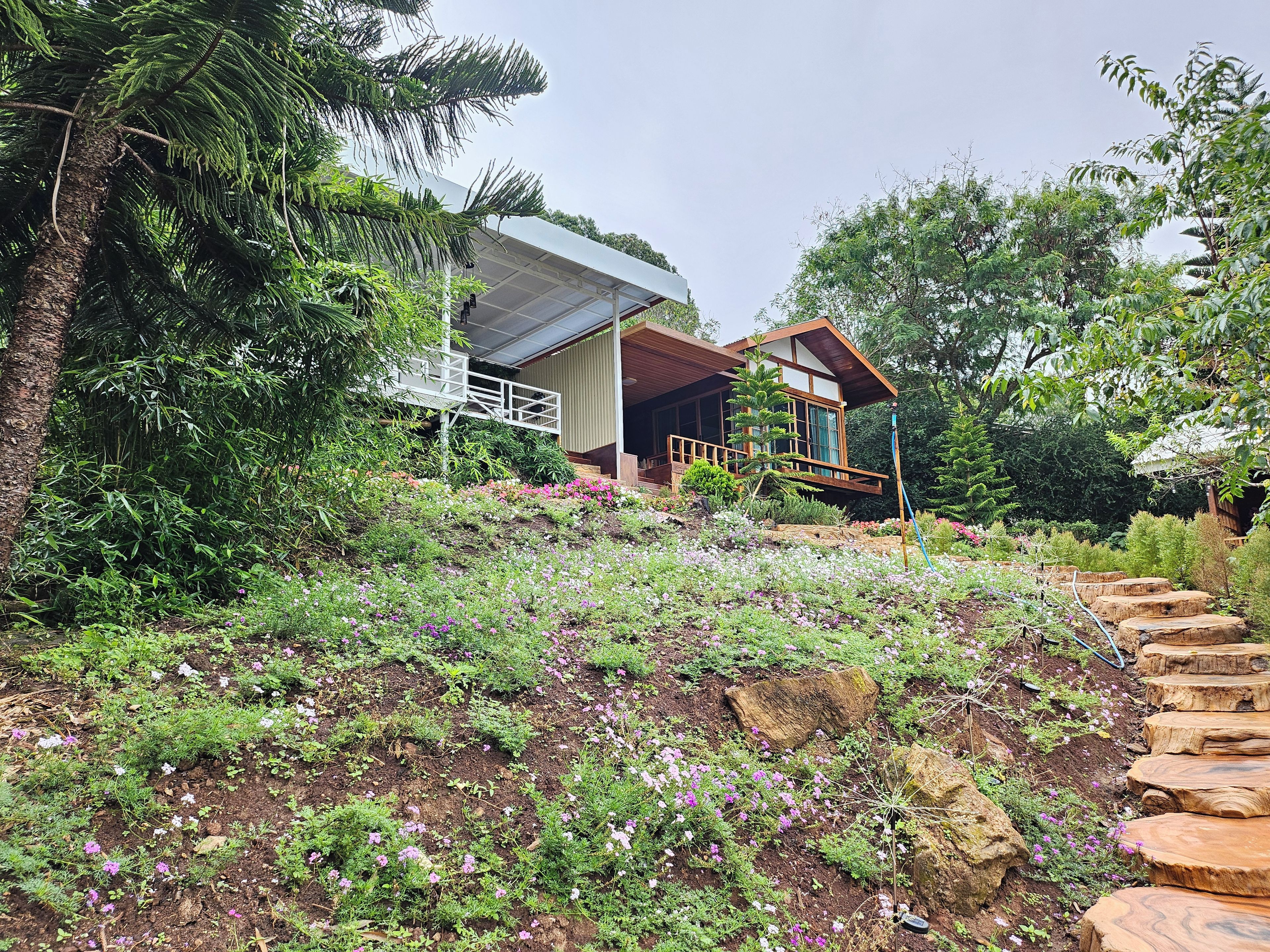 Una casa moderna con terraza de madera, rodeada de abundante vegetación y plantas en flor.