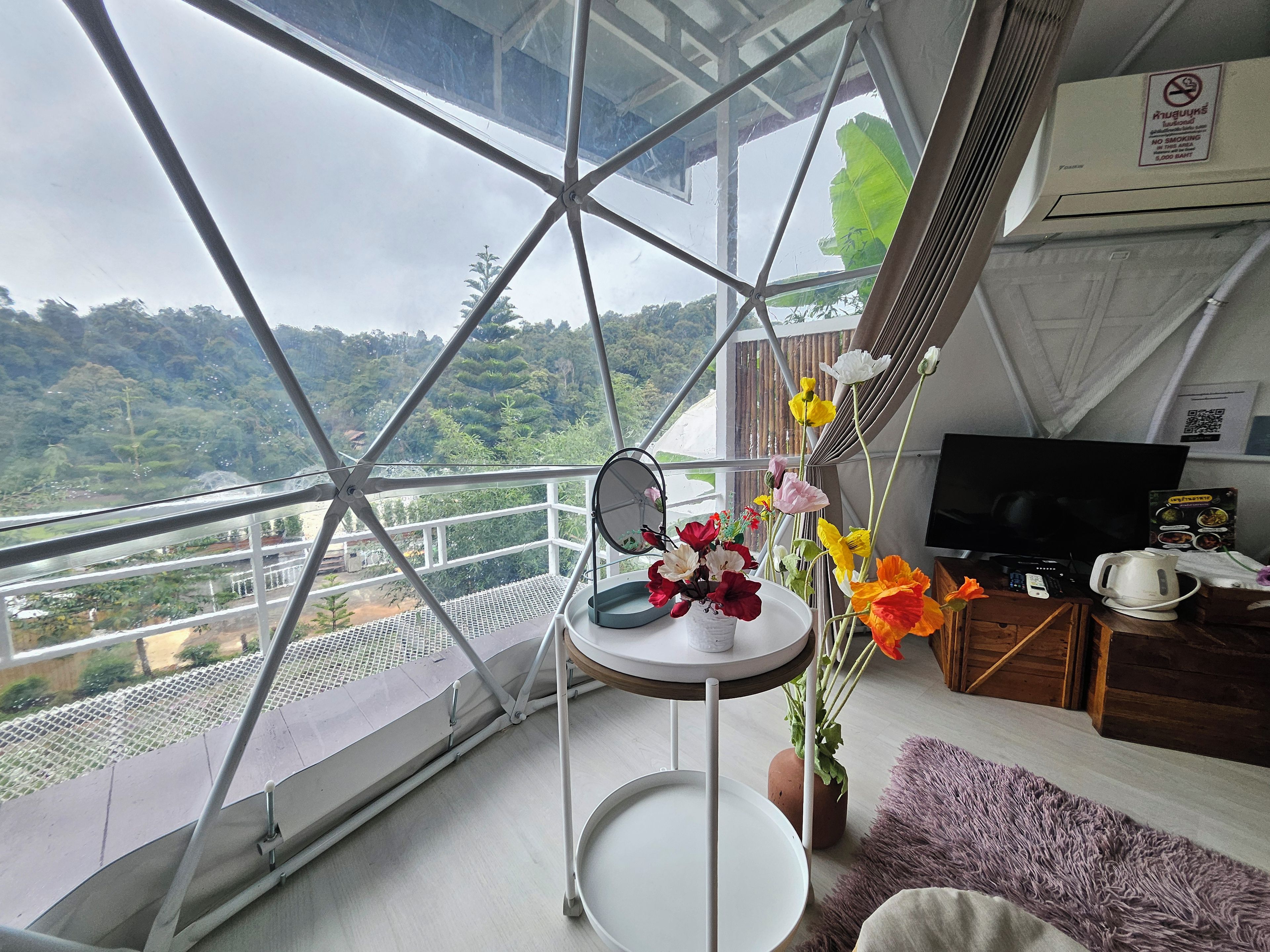 Una habitación con un ventanal grande que da a un paisaje montañoso, una pequeña mesa redonda con un espejo, una planta en maceta con flores, un televisor y un armario de madera.
