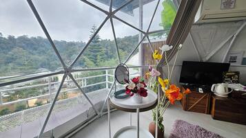 Una habitación con un ventanal grande que da a un paisaje montañoso, una pequeña mesa redonda con un espejo, una planta en maceta con flores, un televisor y un armario de madera.