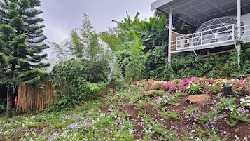Un jardín con diversas plantas y flores, una cerca de bambú y una estructura con techo de vidrio.