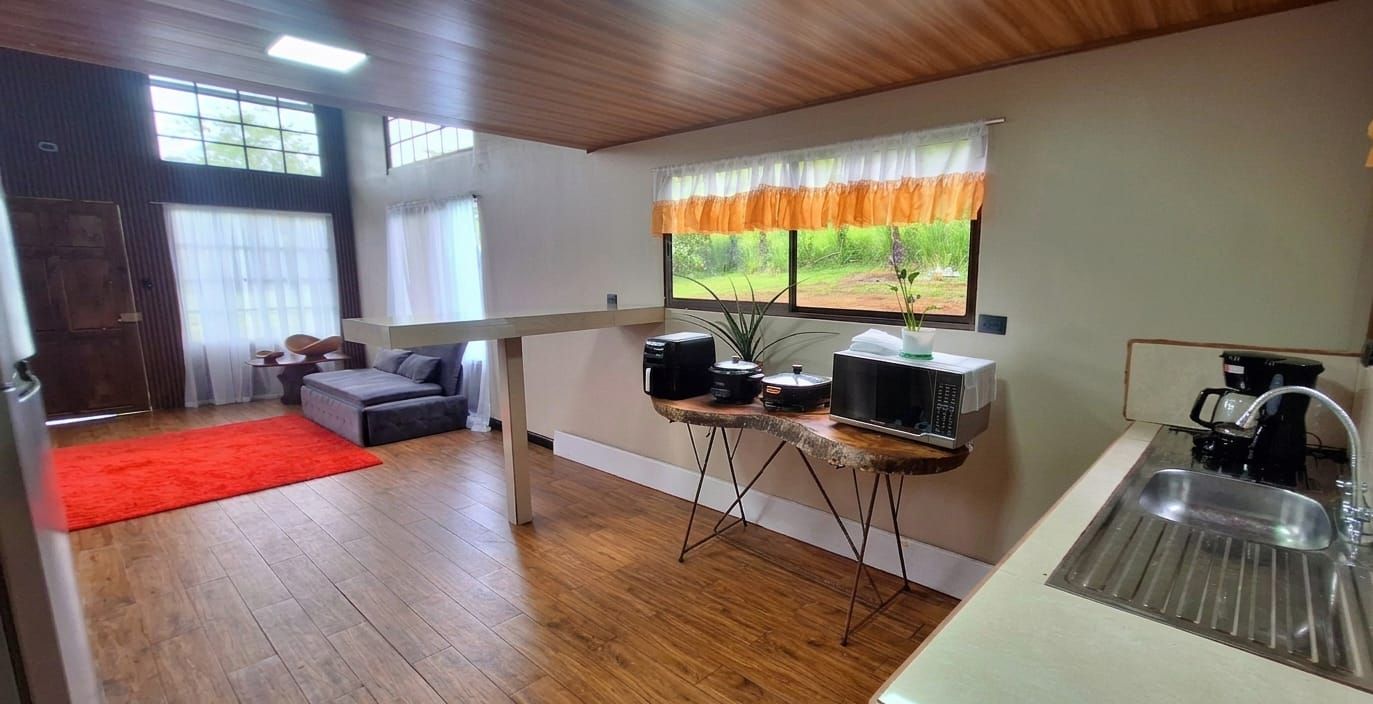 A compact living space with a kitchenette, a sofa, a dining table, and a window with a view of greenery.