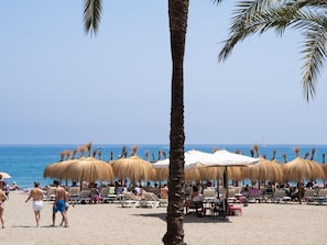 Ein Strand mit Liegestühlen und Reetdachschirmen, einer Palme und dem Meer im Hintergrund.