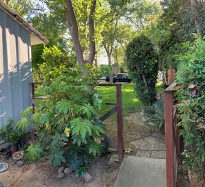 A garden with a wooden fence, a concrete path, and a variety of plants.