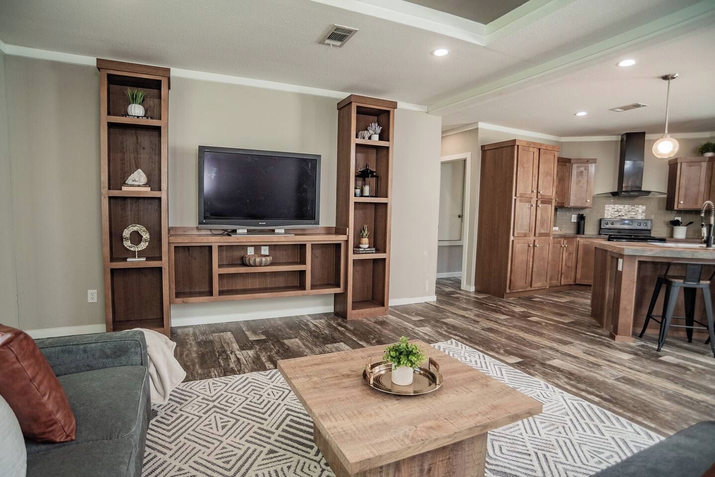 A modern living room with a flat-screen TV, wooden shelving, a coffee table with a plant, and a patterned rug.