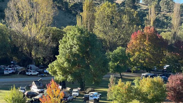 Unclassified image, 1 of 41, button - Omeo Holiday Park (Omeo)
