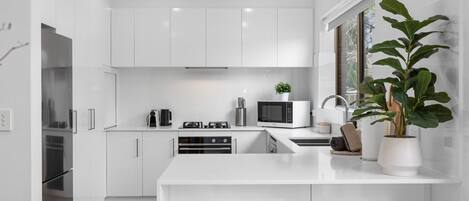 A modern kitchen with white cabinetry, a central island, stainless steel appliances, and a potted plant.