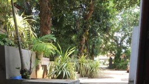 Ảnh chưa phân loại, 4 trong số 20 ảnh, nút