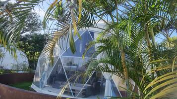 A transparent geodesic dome structure with a seating area inside, surrounded by lush greenery.