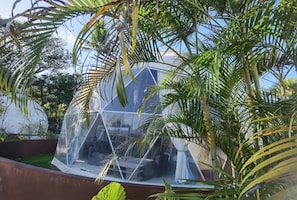 Una estructura geodèsica transparent amb una zona d'estar a l'interior, envoltada de vegetació exuberant.