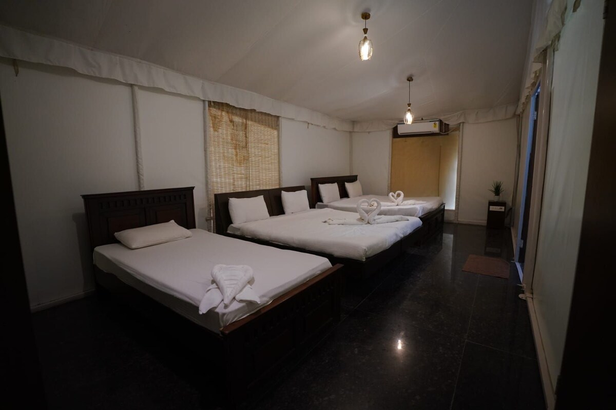 A hotel room with three single beds, a ceiling light, and a small potted plant.