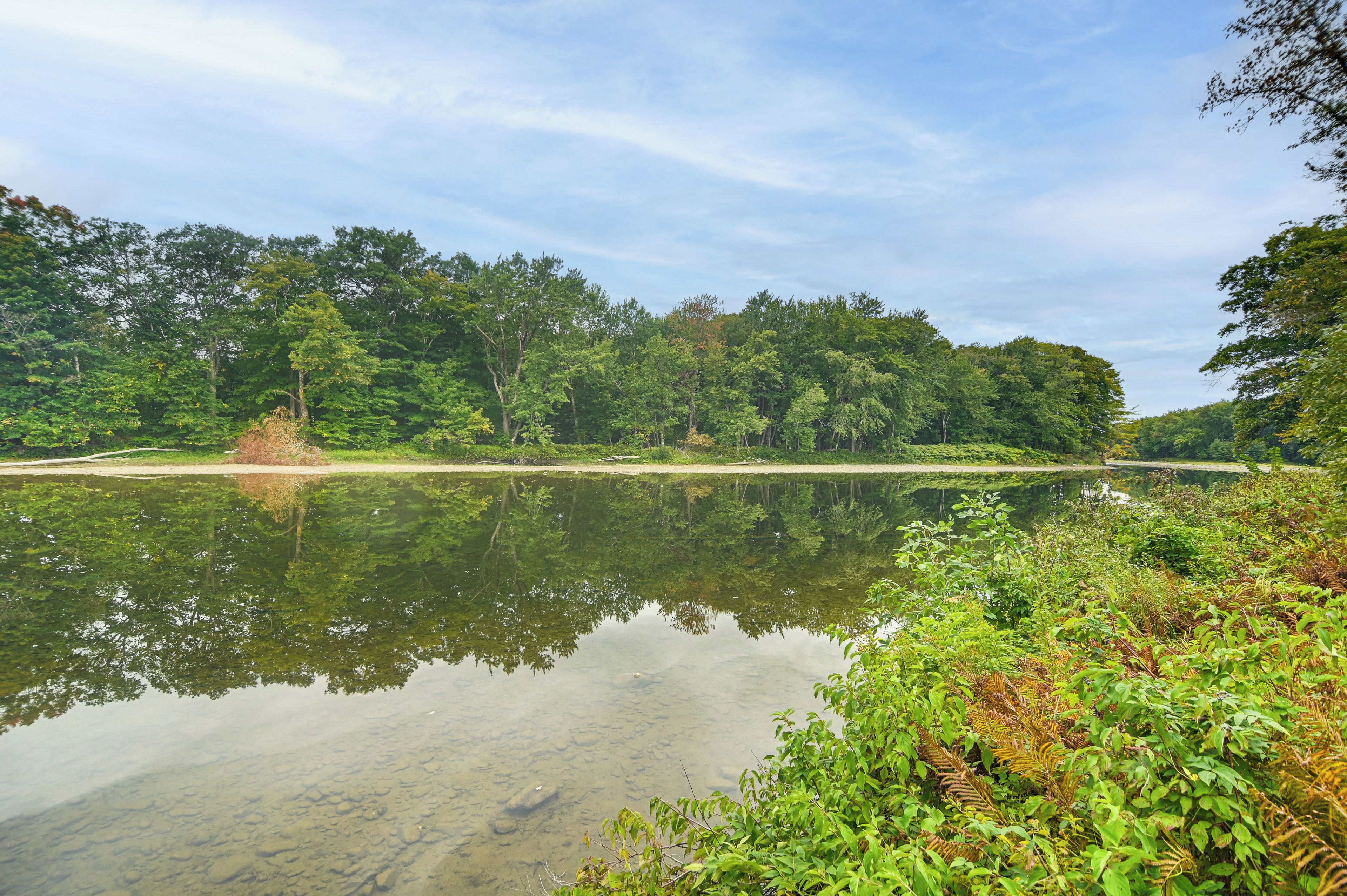 A tranquil lake surrounded by dense forest.