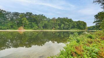 A tranquil lake surrounded by dense forest.