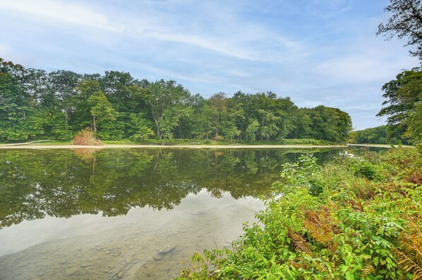 Un lago tranquilo rodeado de un bosque denso.