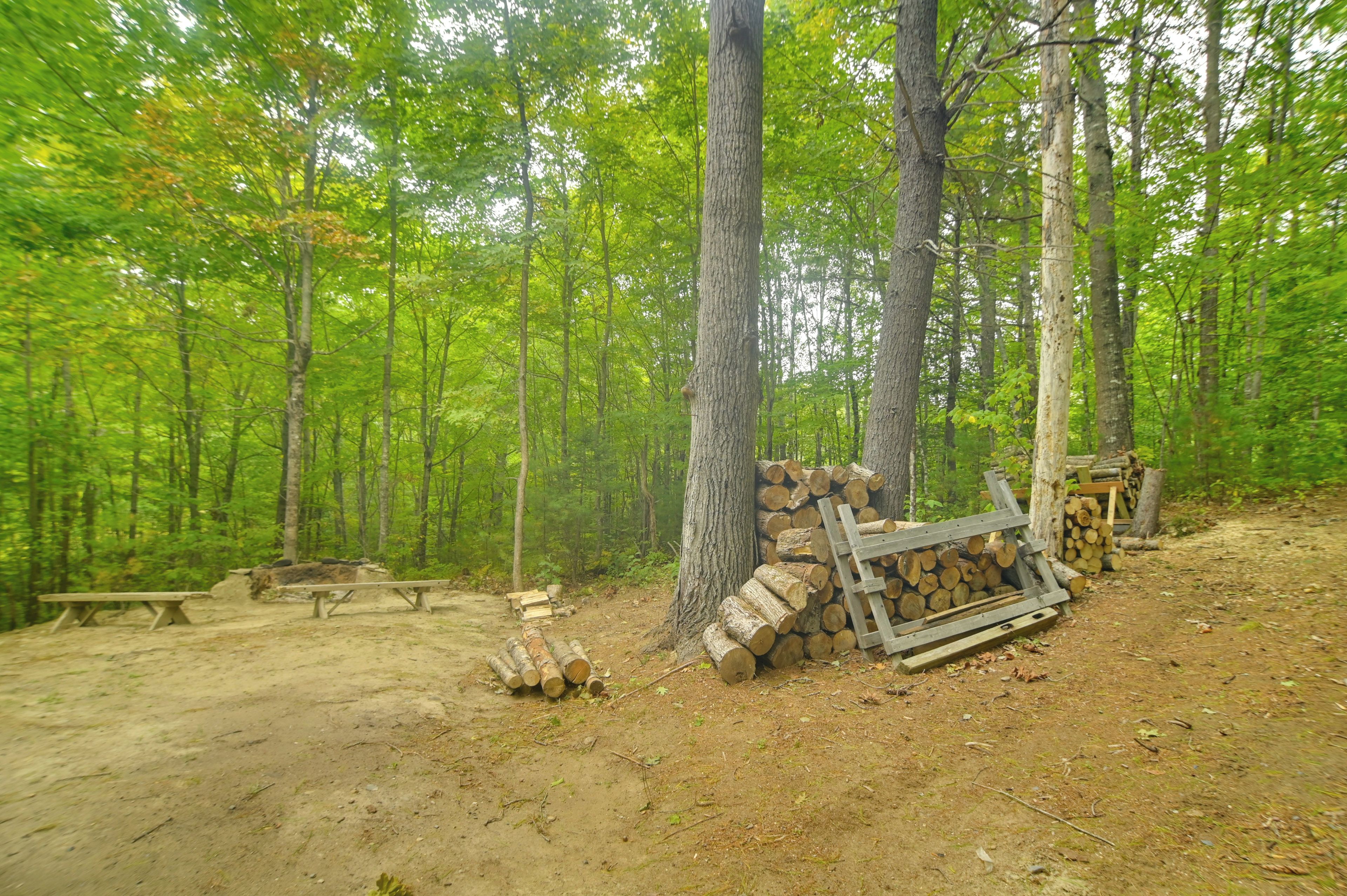 Metsäinen leirintäalue, jossa on piknikpöytä ja kasa polttopuita.