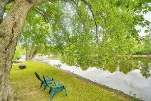 Un entorno tranquilo junto al lago, con un banco y una mesa de picnic debajo de un árbol grande.