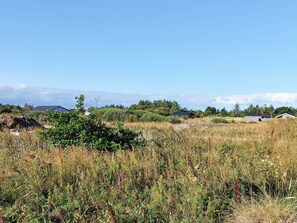 A rural landscape with scattered buildings, dense vegetation, and a clear sky. - 8 Person Holiday Home in Hirtshals (Hirtshals)