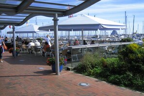 An outdoor seating area with tables and umbrellas, overlooking a marina with boats. - Holiday apartment in Damp with swimming pool (Damp)