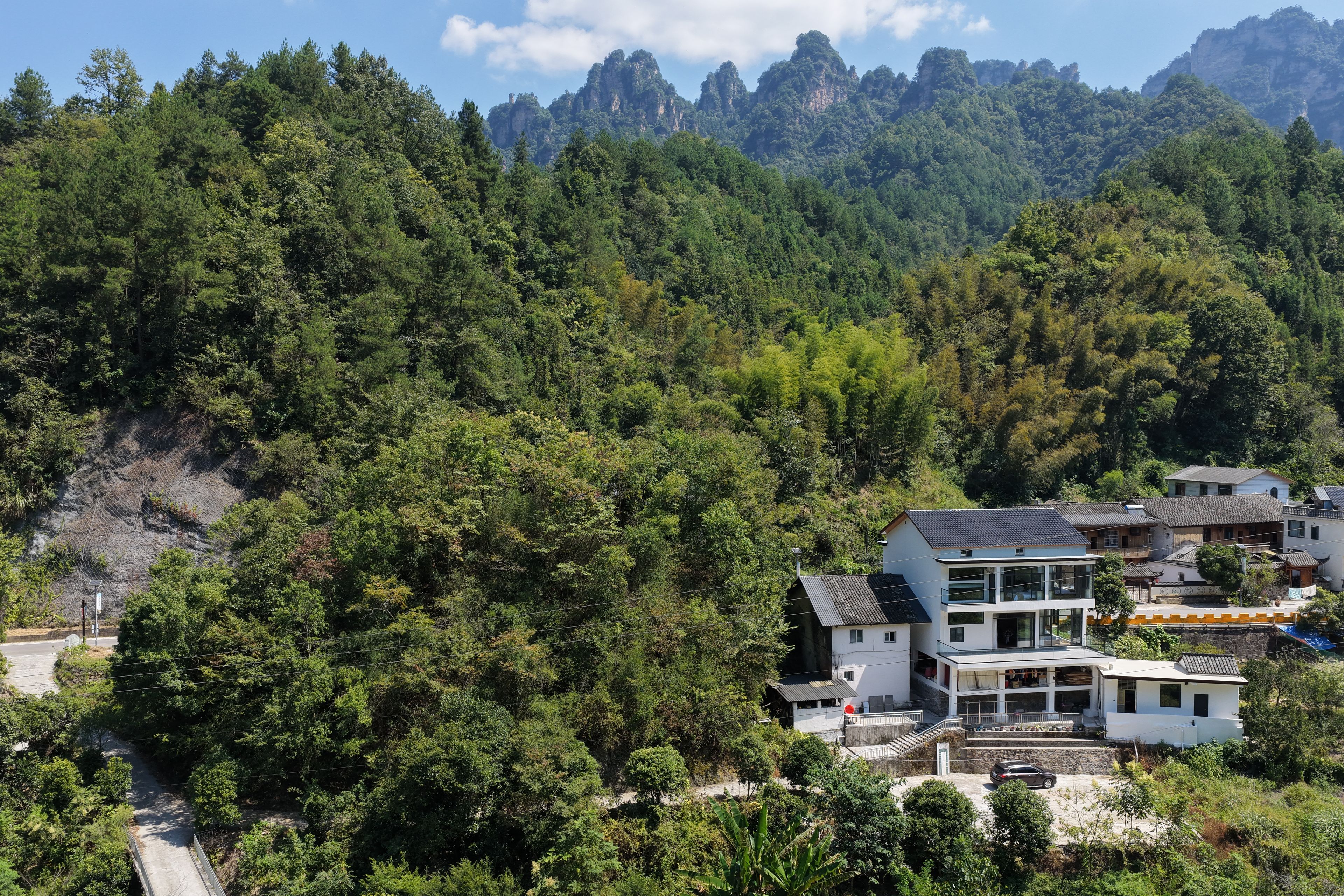 Zona residencial con edificios modernos y tradicionales, rodeada de un bosque denso y un terreno montañoso.