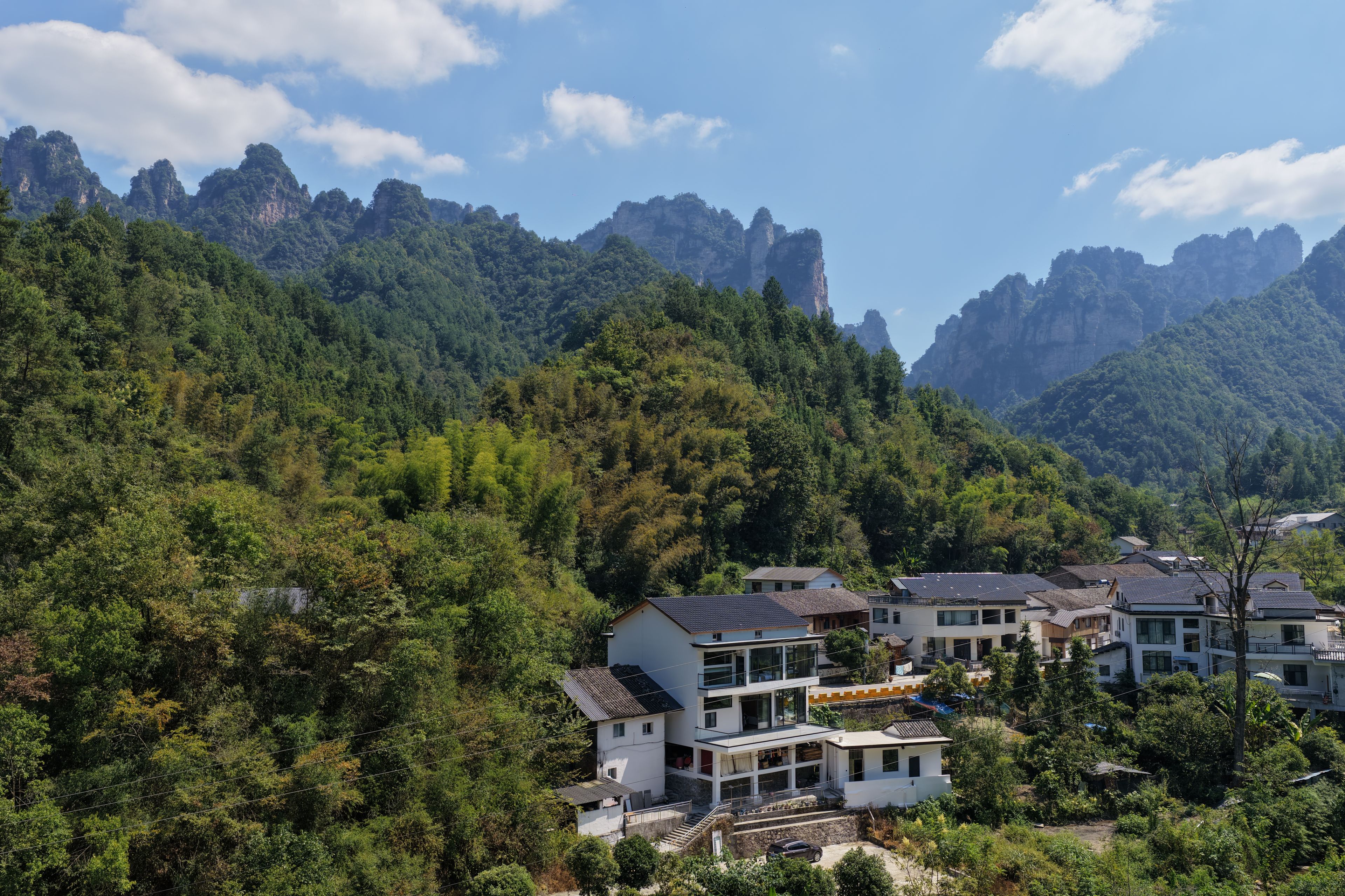 Un área residencial con casas modernas rodeadas de un bosque denso y montañas.